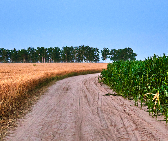 Droit rural - chemins ruraux