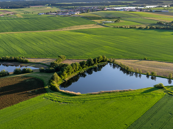 zones humides, prairies inondables
